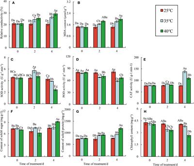 Physiological and transcriptomic analysis reveal the crucial factors in heat stress response of red raspberry ‘Polka’ seedlings